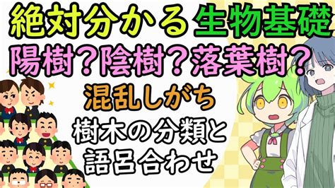 陽樹 種類|陰樹と陽樹の違いと代表的な樹木 